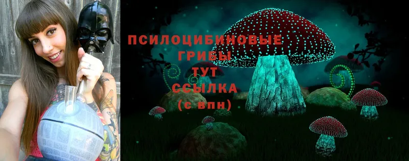 Псилоцибиновые грибы Psilocybe  Балахна 